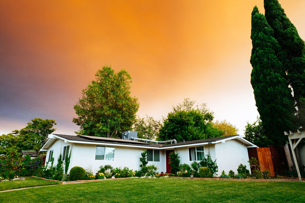 Best tree service in my area, Murfreesboro tree service, 